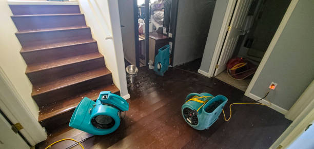 Best Professional water damage repair  in Manchester, TN