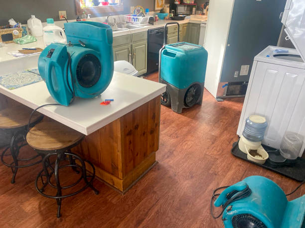 Best Water damage restoration near me  in Manchester, TN