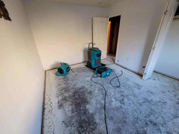 Best Residential water damage restoration  in Manchester, TN