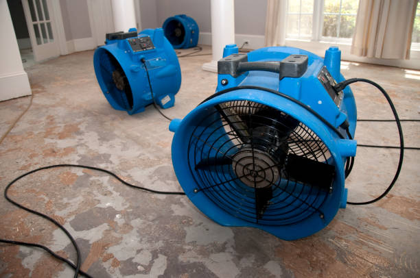 Best Water damage cleanup near me  in Manchester, TN