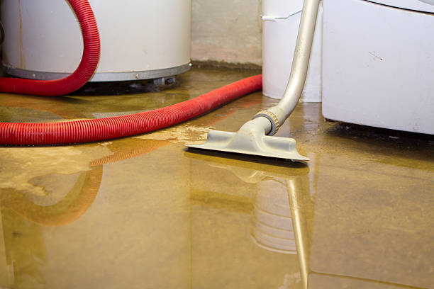 Best Water damage contractors near me  in Manchester, TN