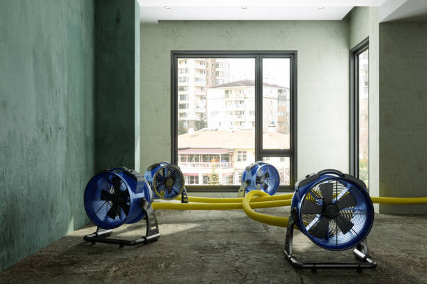 Professional Water damage restoration in Manchester, TN